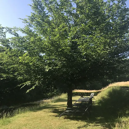 호텔 Limburgia 팔켄뷔르흐안더횔